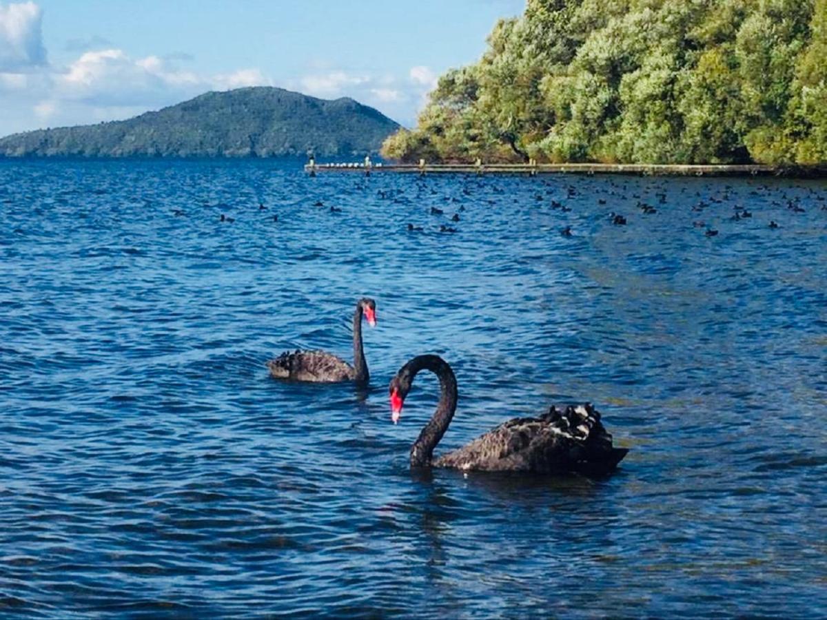 Gemini Lodge Rotorua Eksteriør billede